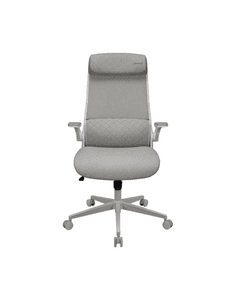 Karrige Gaming Cougar, hiri